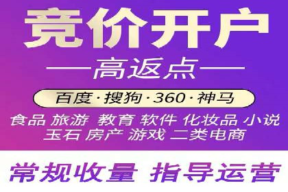 百度竞价推广公司经典案例解析：广告投放策略的智慧